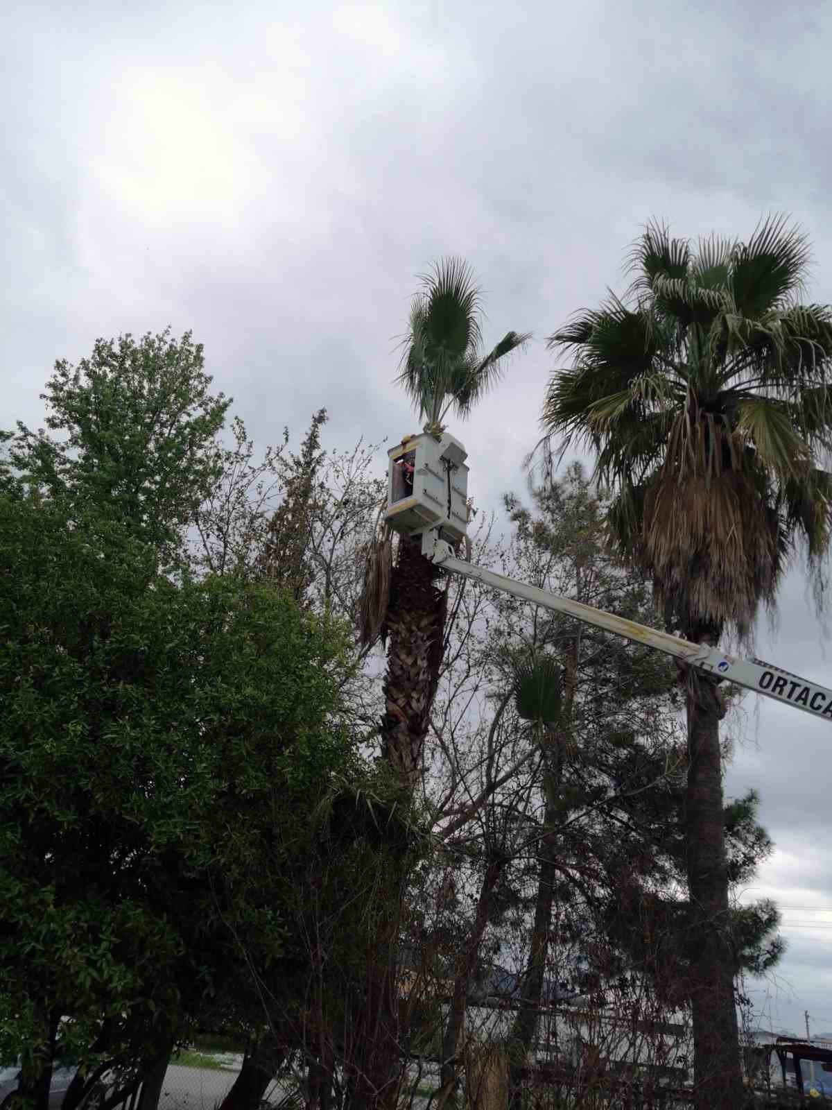 Ortaca’nın yeşil alanlarında ’Bahar’ bakımı