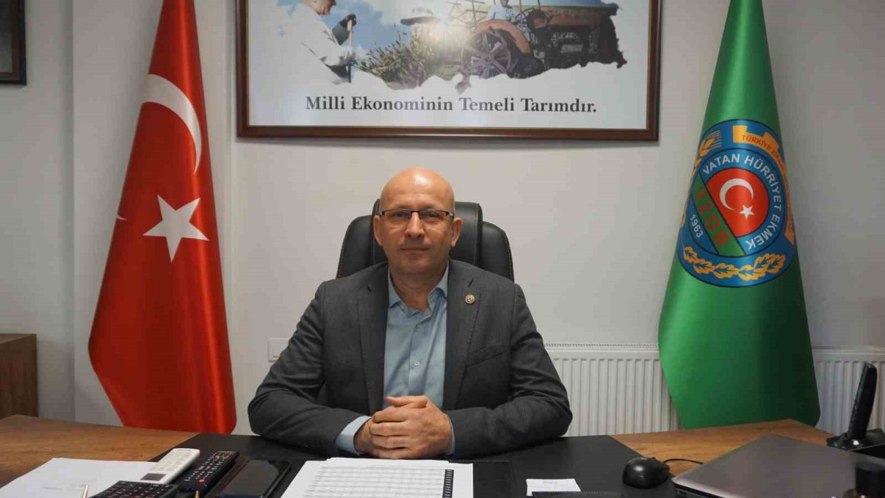 Yağmur toprağa can suyu, çiftçiye umut oldu