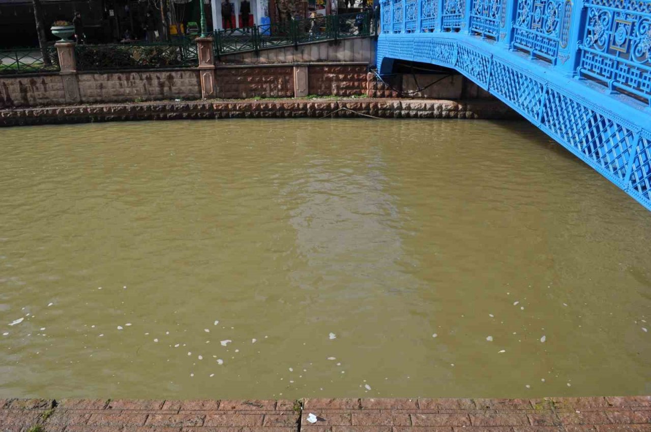 Porsuk kahverengiye büründü
