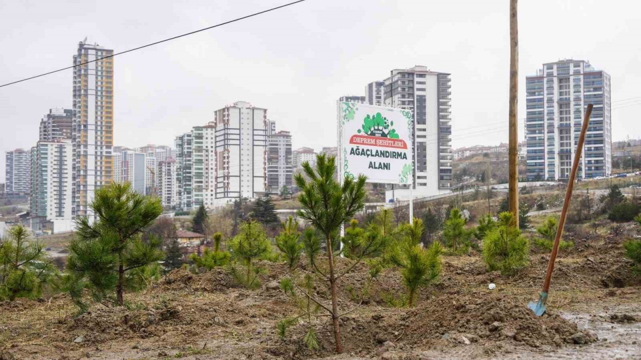 6 Şubat 2023 Deprem Şehitleri Hatıra Ormanı’nda 435 fidan toprakla buluştu