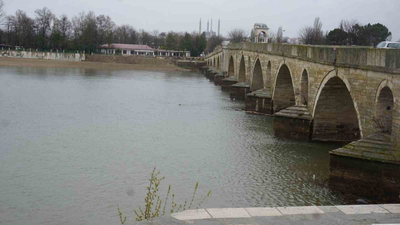 Yağmur toprağa can suyu, çiftçiye umut oldu