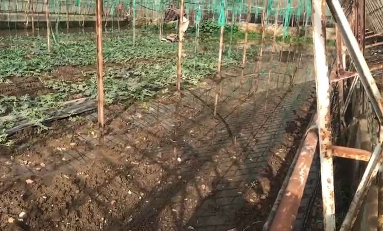 Turuncu kodla uyarılan Antalya’da tarlalar ve yollar göle döndü