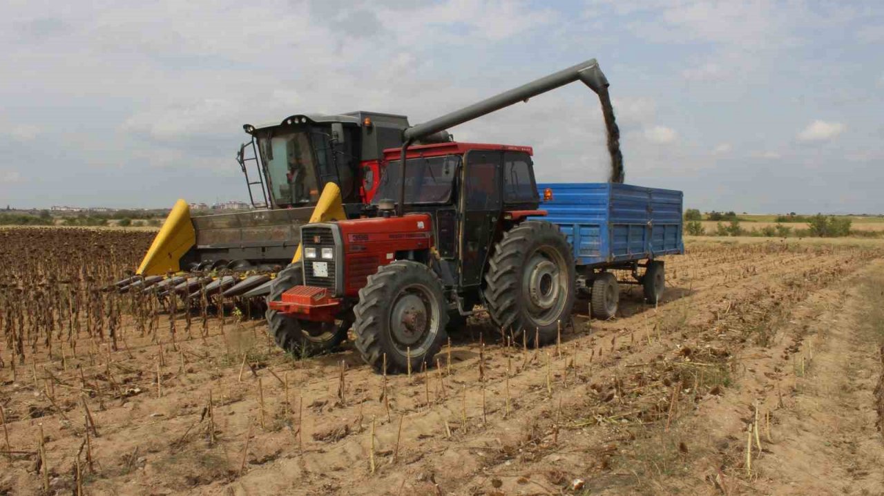 Yağmur toprağa can suyu, çiftçiye umut oldu