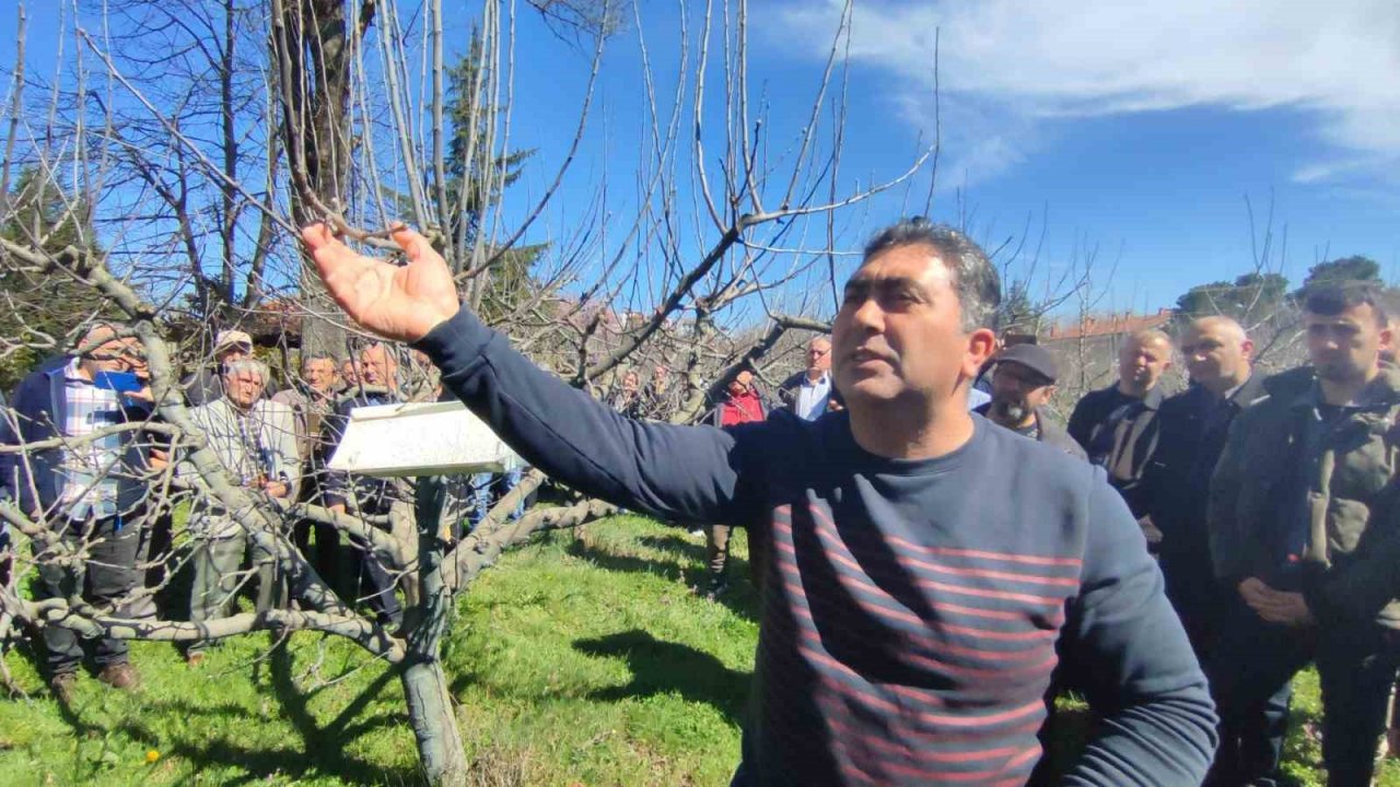 Bartın’da çiftçilere budama eğitimi, doğru verim alma yöntemleri anlatıldı