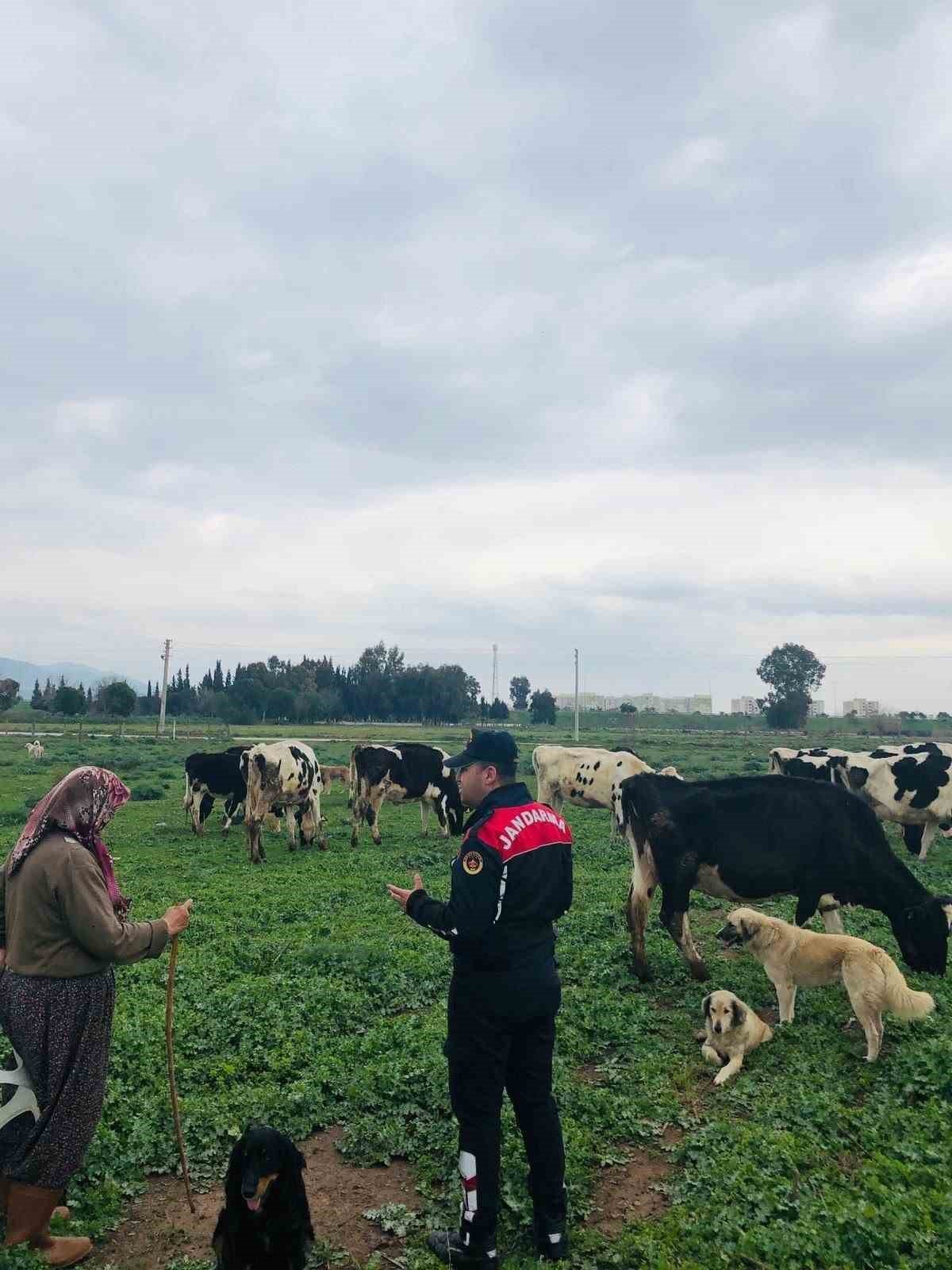 Çiftçiler hayvan hırsızlığına karşı bilgilendirildi