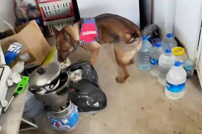 11 kilo esrarı arı kovanı ve sazlıklara gizleyen oğul tutuklandı, baba serbest kaldı