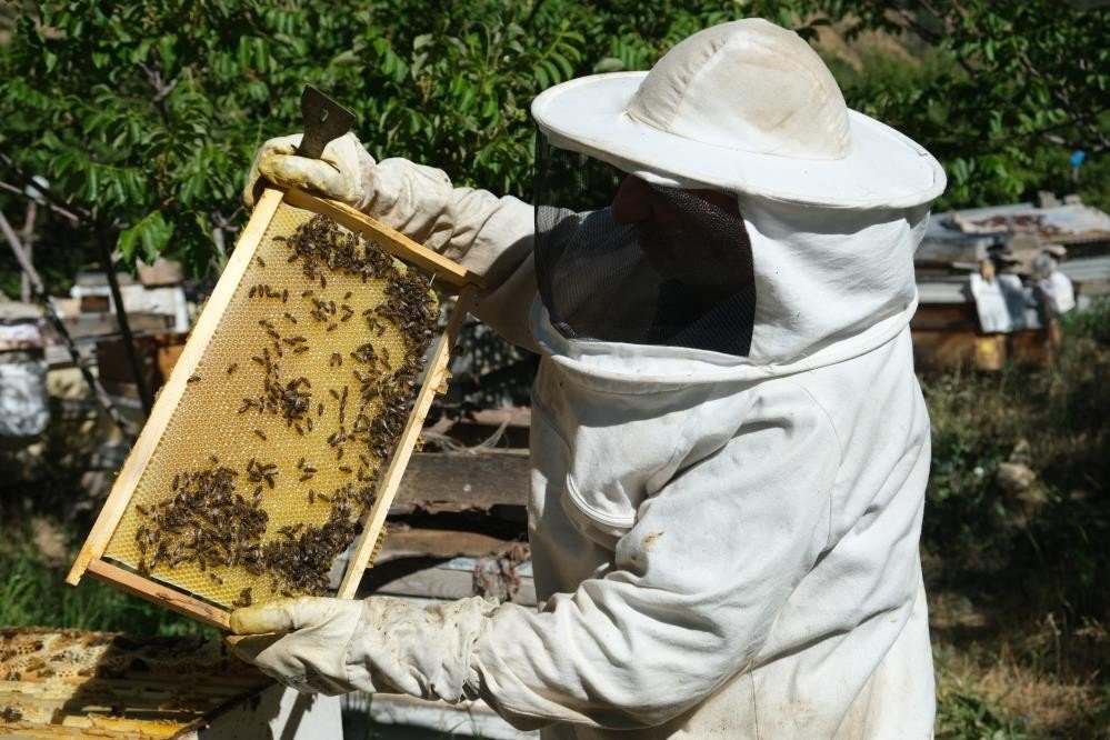 Yağışlar arıcılara bereket olacak