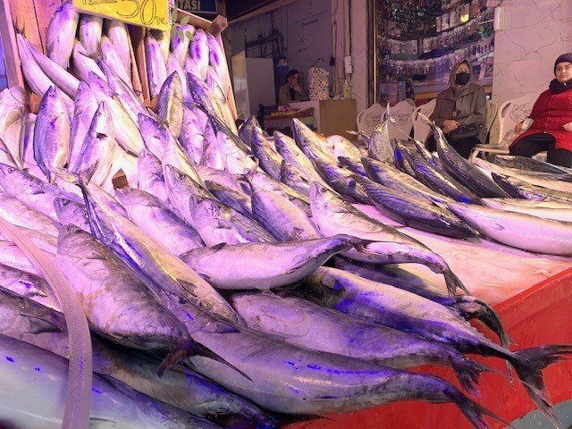 Eskişehir’de balık fiyatları