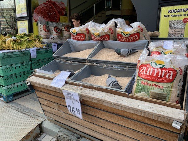 Market tezgâhını yağmalayan güvercinler