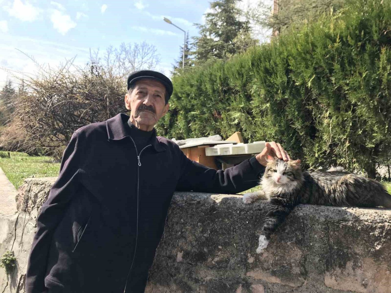 Komşularının istemediği kedileri için parka ev yaptı