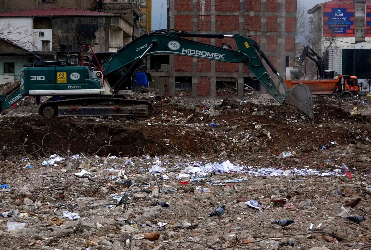 Sahipsiz kalan cins güvercinler deprem enkazında yem aradı