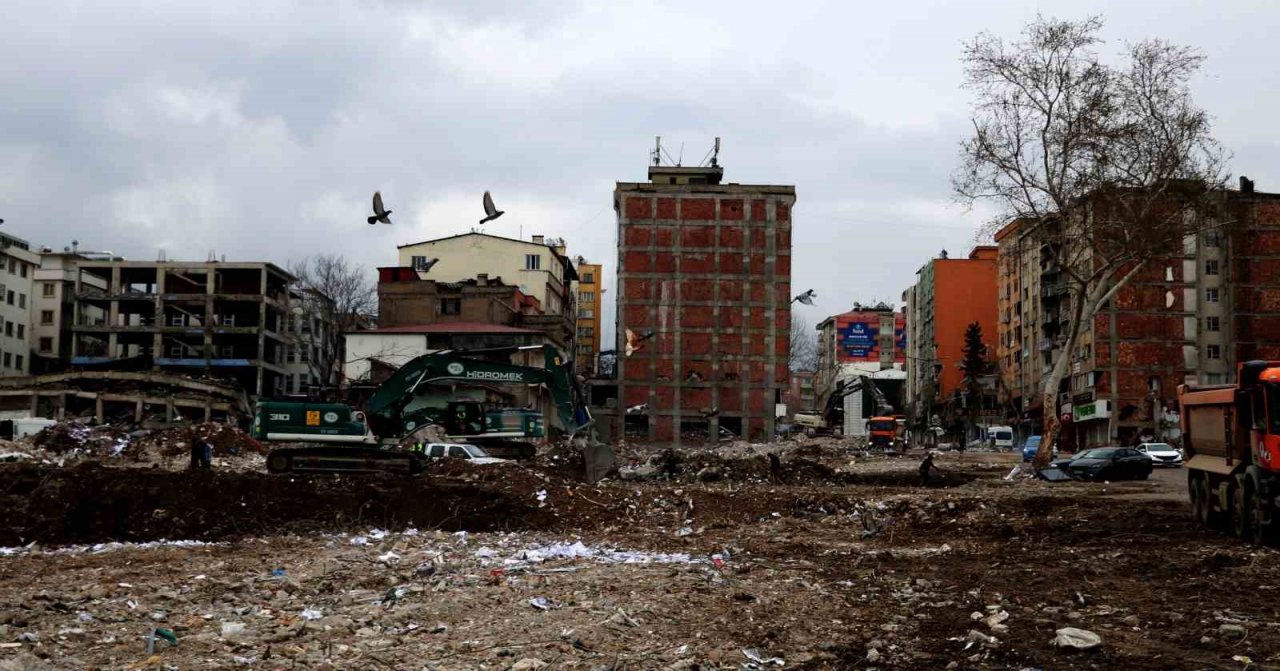 Sahipsiz kalan cins güvercinler deprem enkazında yem aradı