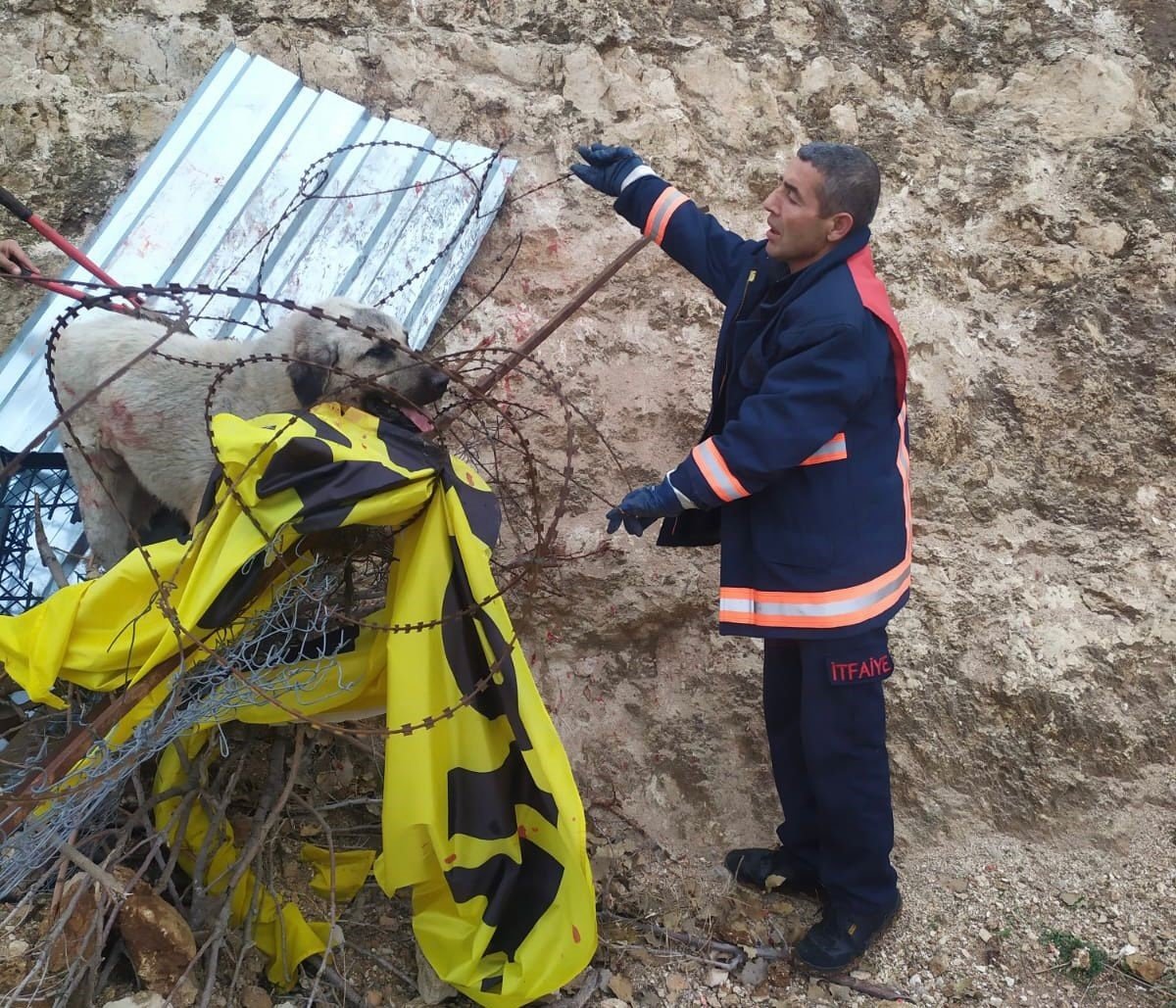 Jiletli telde takılı kalan köpek kurtarıldı