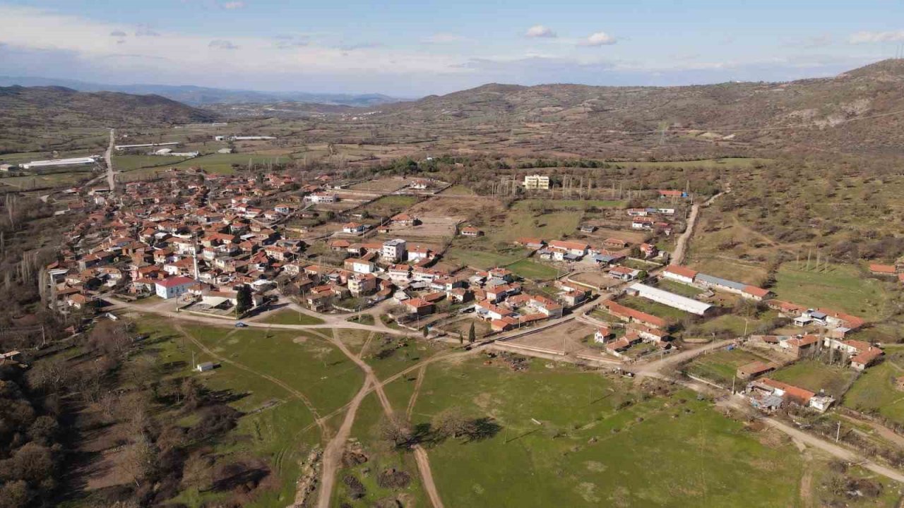 Sındırgı’da kök boya bitkileri toprakla buluşuyor