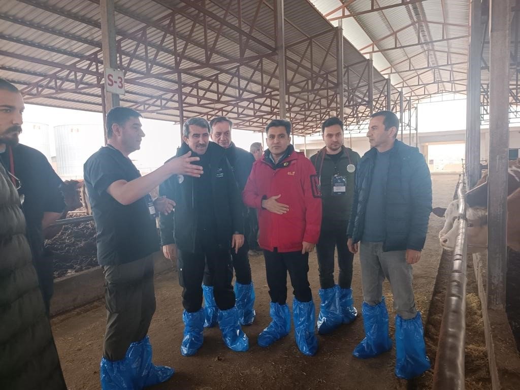 DEÜ’lü uzmanlardan deprem bölgesinde şap virüsü uyarıları