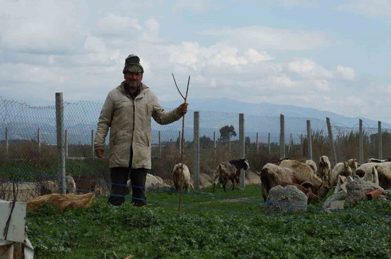 Bahar yağmurları çobanların yüzünü güldürdü