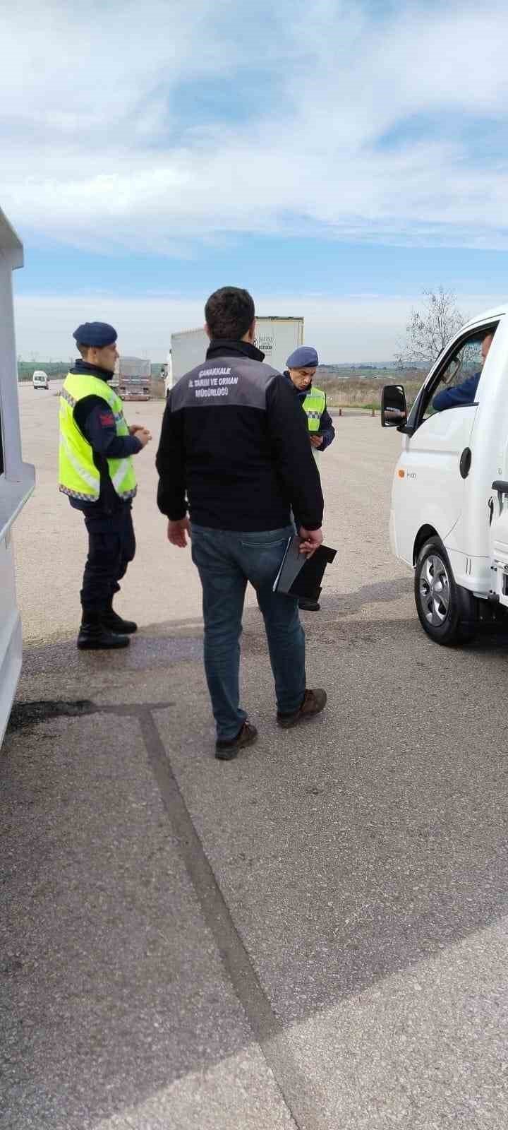 Biga’da kontrolsüz hayvan hareketlerine denetim