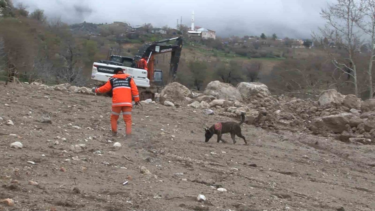 1,5 yaşındaki Zeynep hassas burunlu köpek ile aranıyor