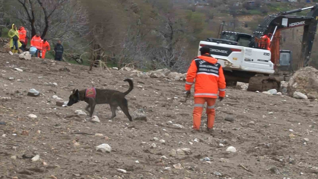 1,5 yaşındaki Zeynep hassas burunlu köpek ile aranıyor