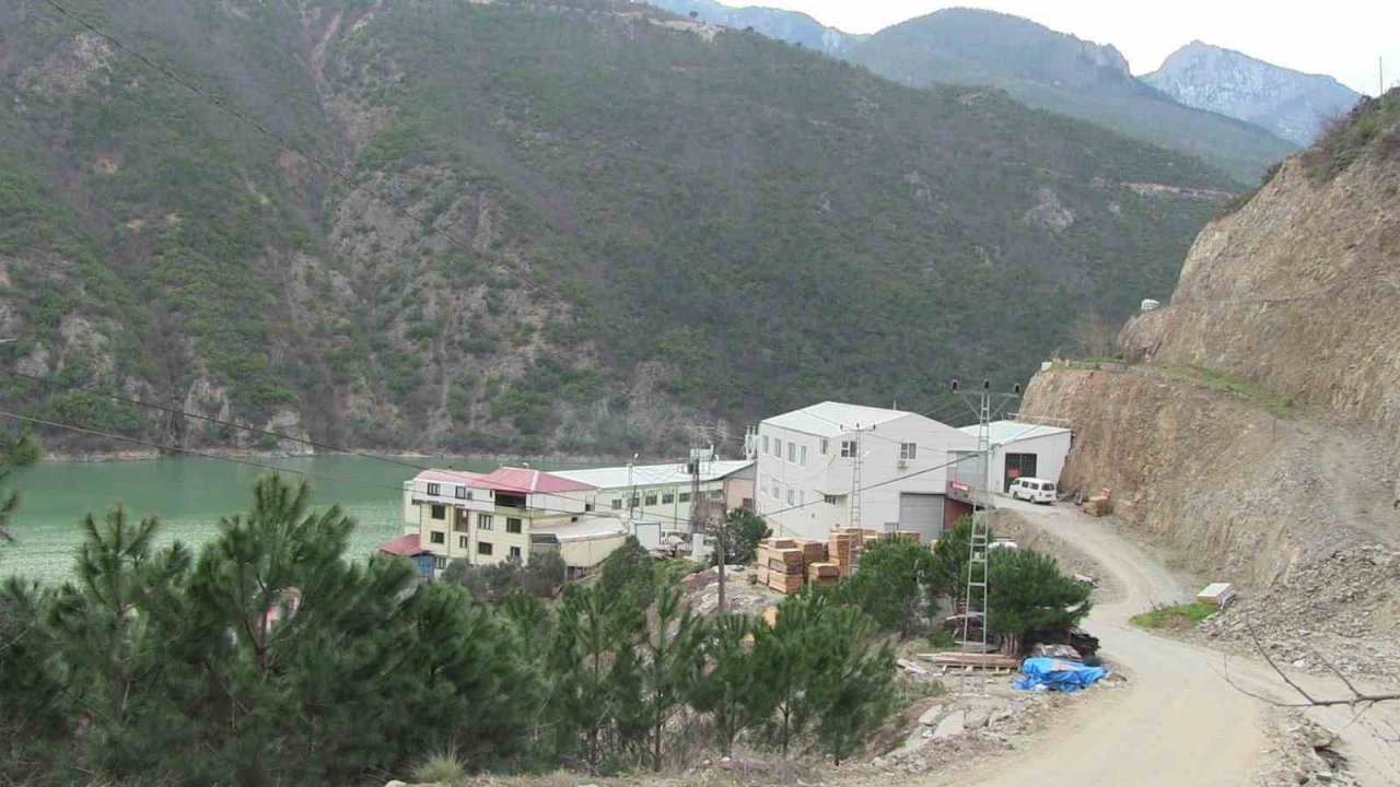 Artvin’de kadınların ürettiği keresteler Avrupa ve Ortadoğu ülkelerine ihraç ediliyor