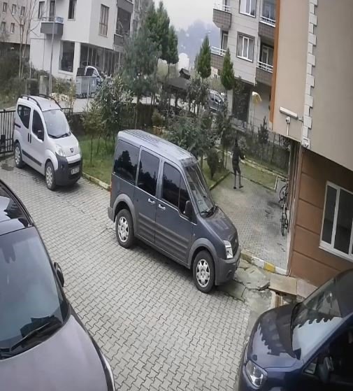 Artvin’de köpeklerin kovaladığı karacayı site sakinleri kurtardı