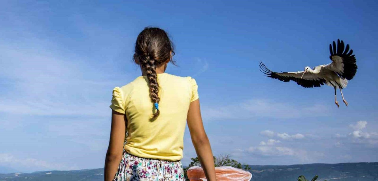 Baharın habercisi leylekler Erzincan’a erken geldi