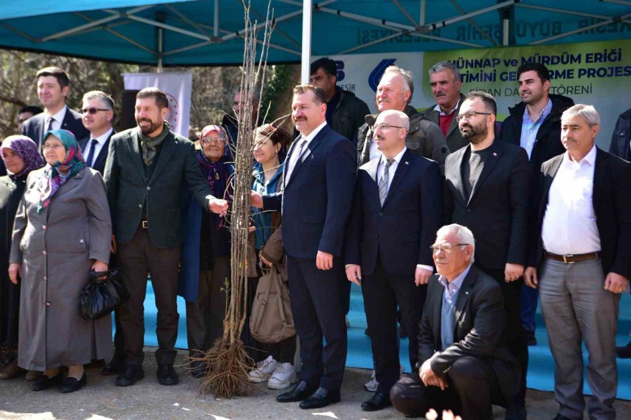 Balıkesir Büyükşehir’den çiftçiye hünnap ve mürdüm eriği desteği