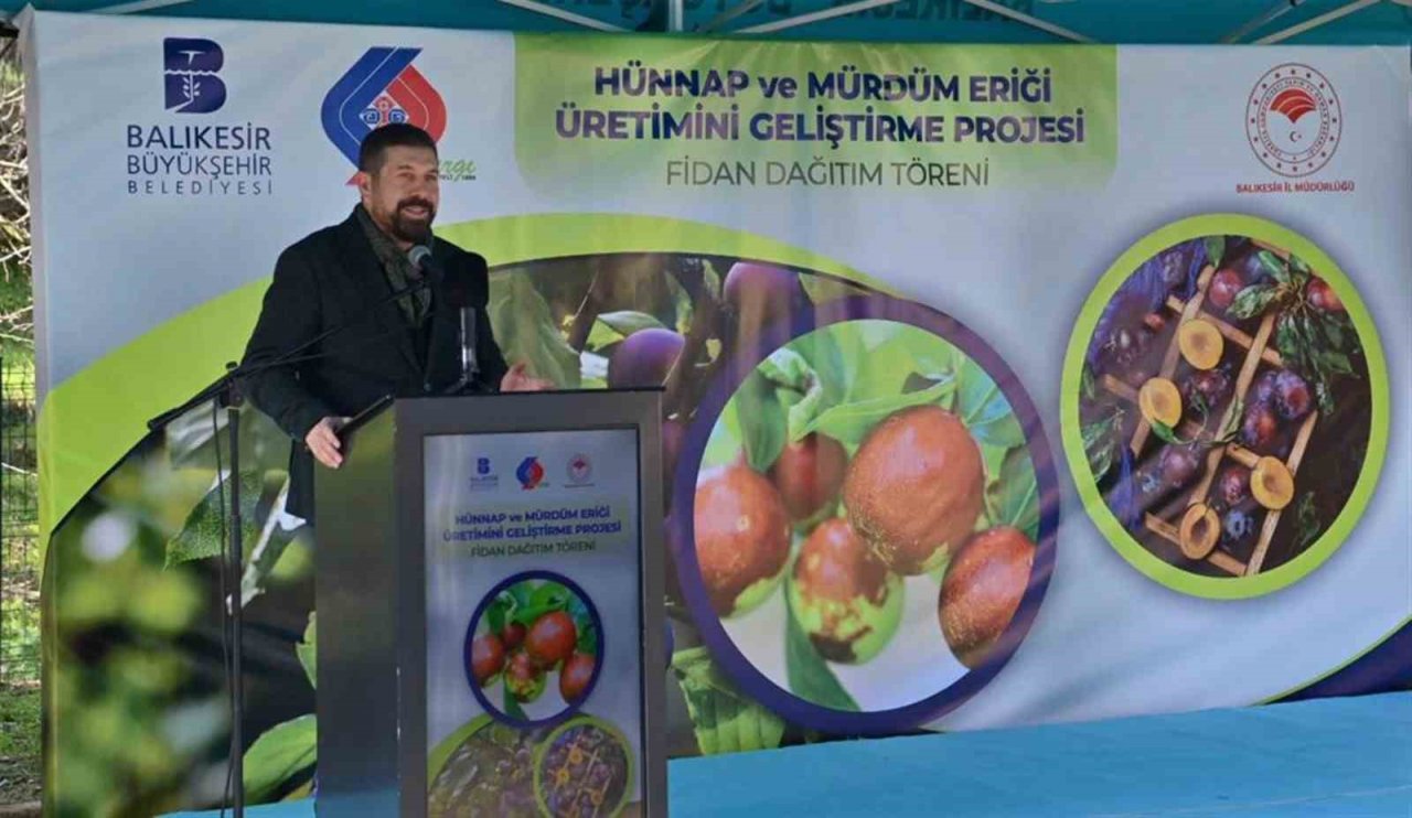 Balıkesir Büyükşehir’den çiftçiye hünnap ve mürdüm eriği desteği