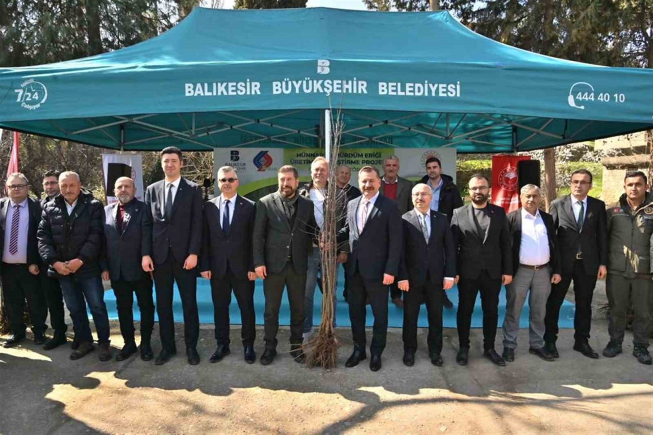 Balıkesir Büyükşehir’den çiftçiye hünnap ve mürdüm eriği desteği