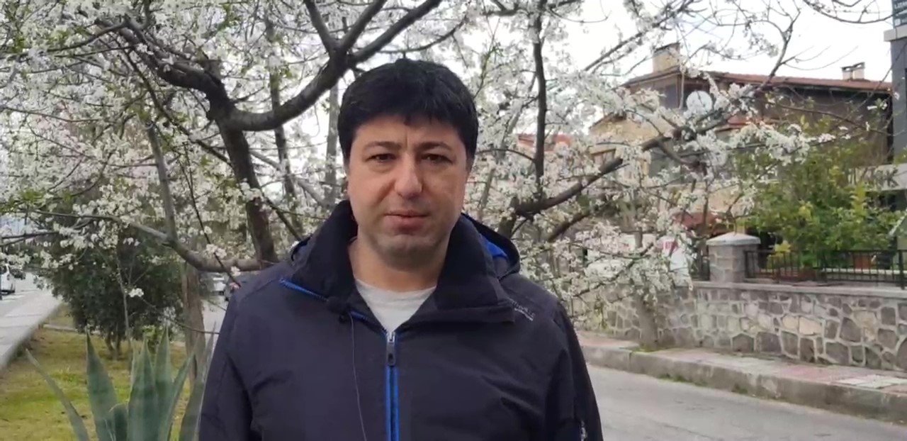 Halkalı leke hastalığı zeytinleri vuruyor