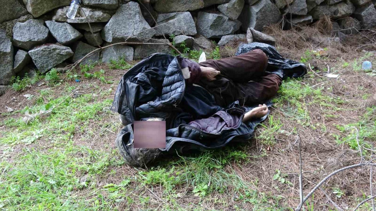 Evsiz adam ormanlık alanda ölü bulundu