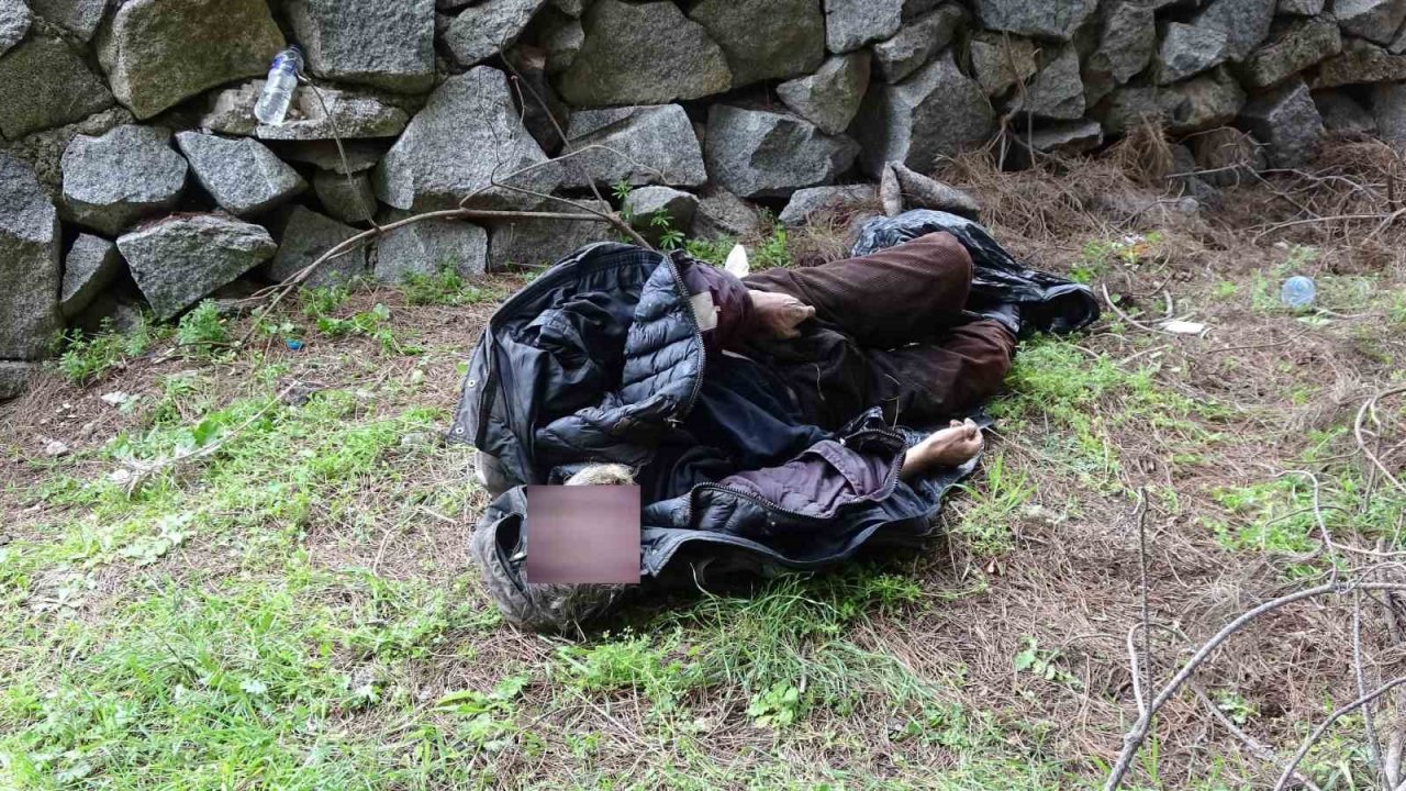 Evsiz adam ormanlık alanda ölü bulundu