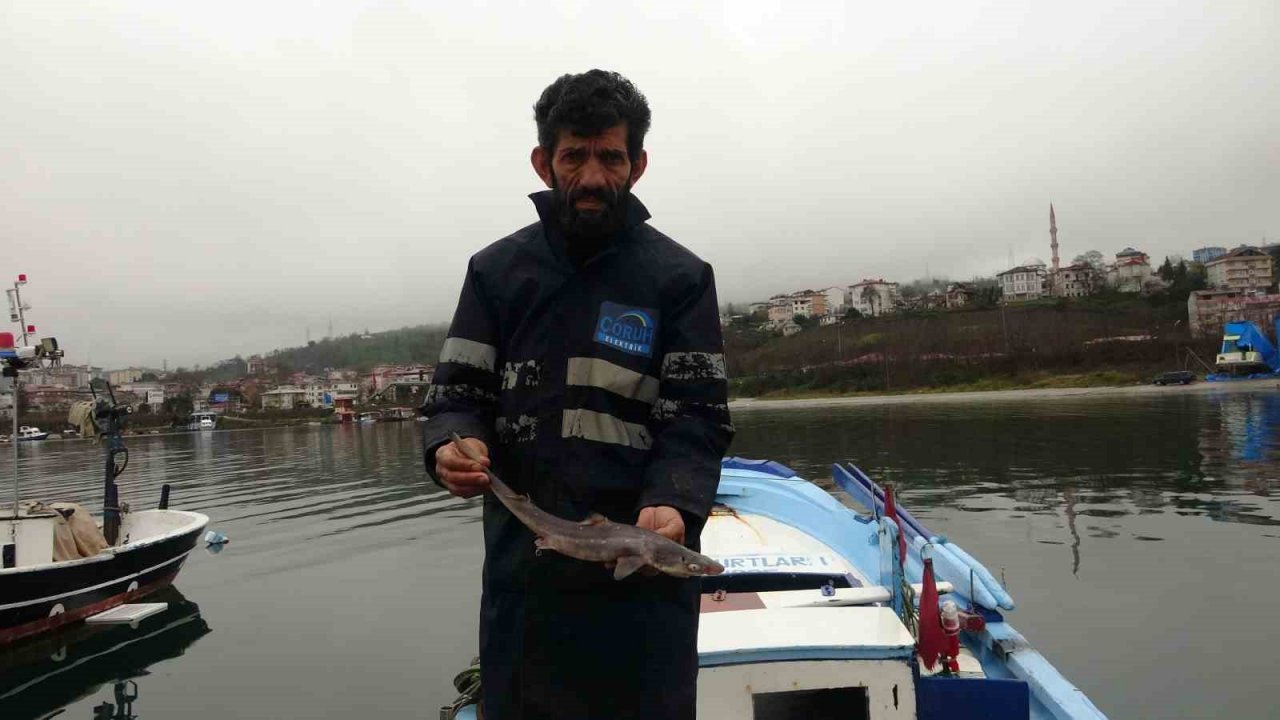 Arslan: "Doğu Karadeniz her bir yıl balık avı açısından verimsizleşiyor"