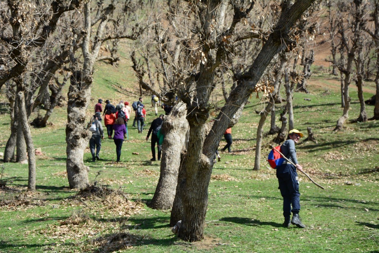 Yüksekovalı dağcılardan doğa yürüyüşü