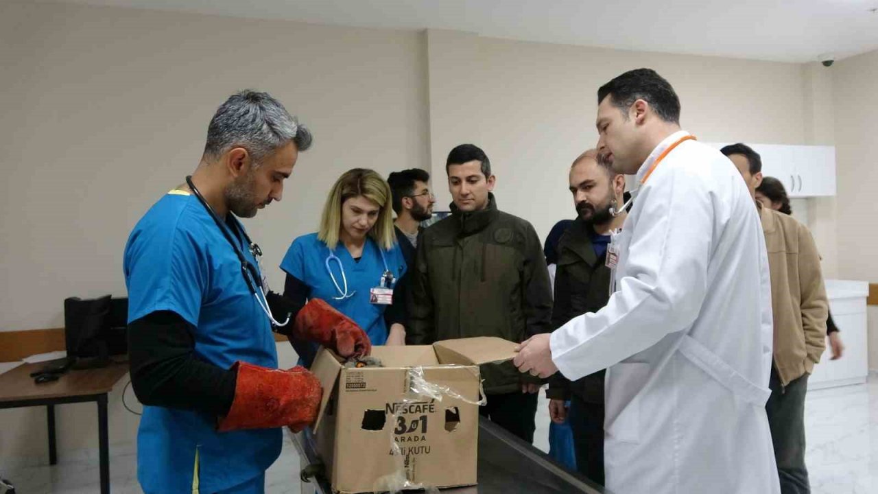 Yaralı bulunan Bayağı puhu kuşu tedavi altına alındı