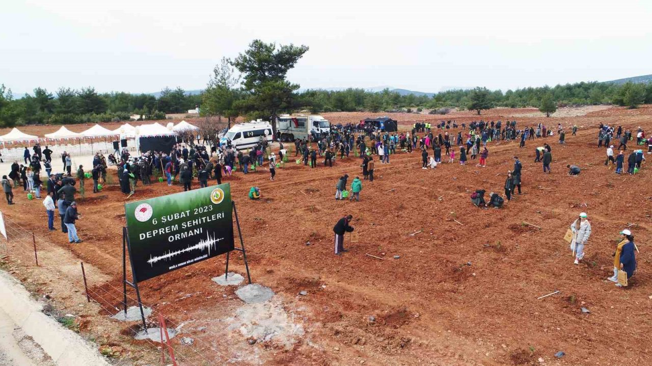 2 bin fidan toprakla buluştu