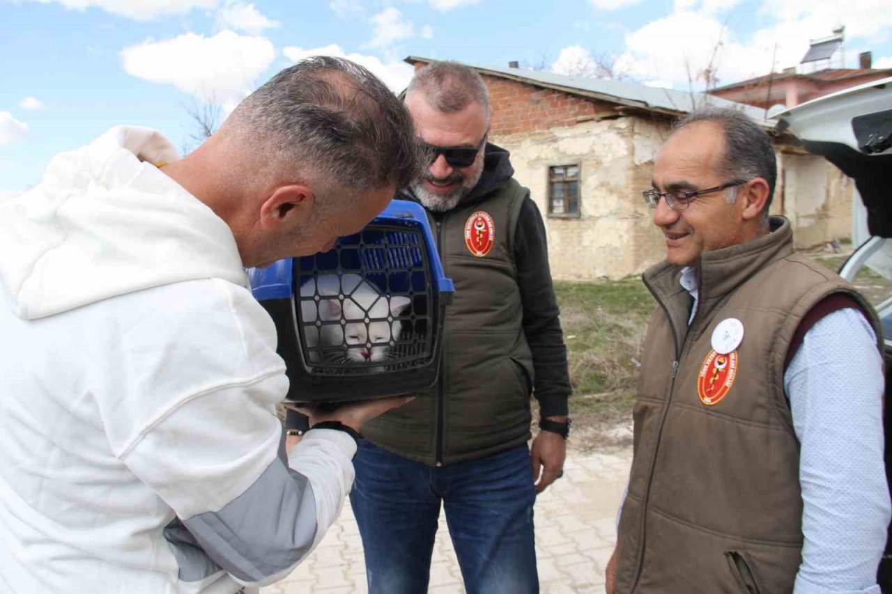 Depremde enkazdan kurtarılan kedi, mikroçip sayesinde sahibine teslim edildi
