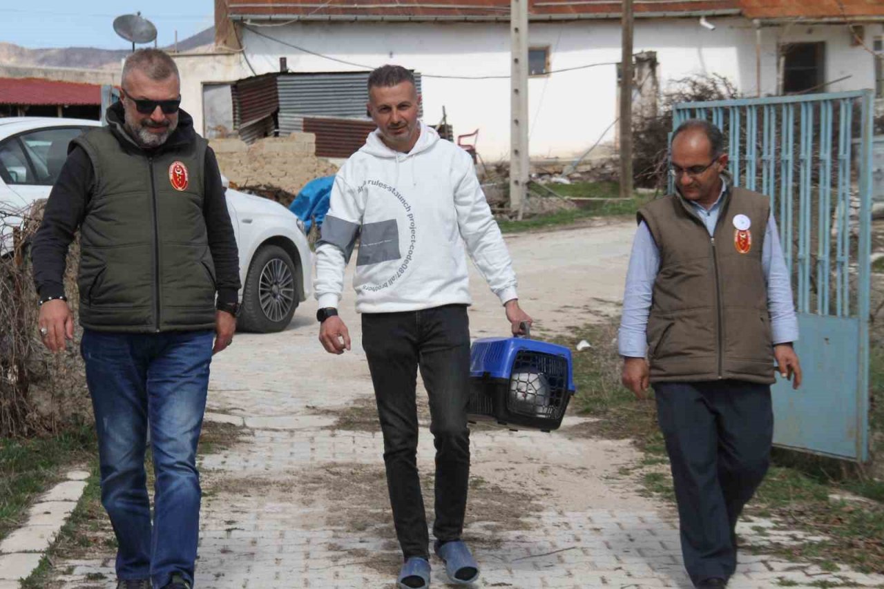 Depremde enkazdan kurtarılan kedi, mikroçip sayesinde sahibine teslim edildi