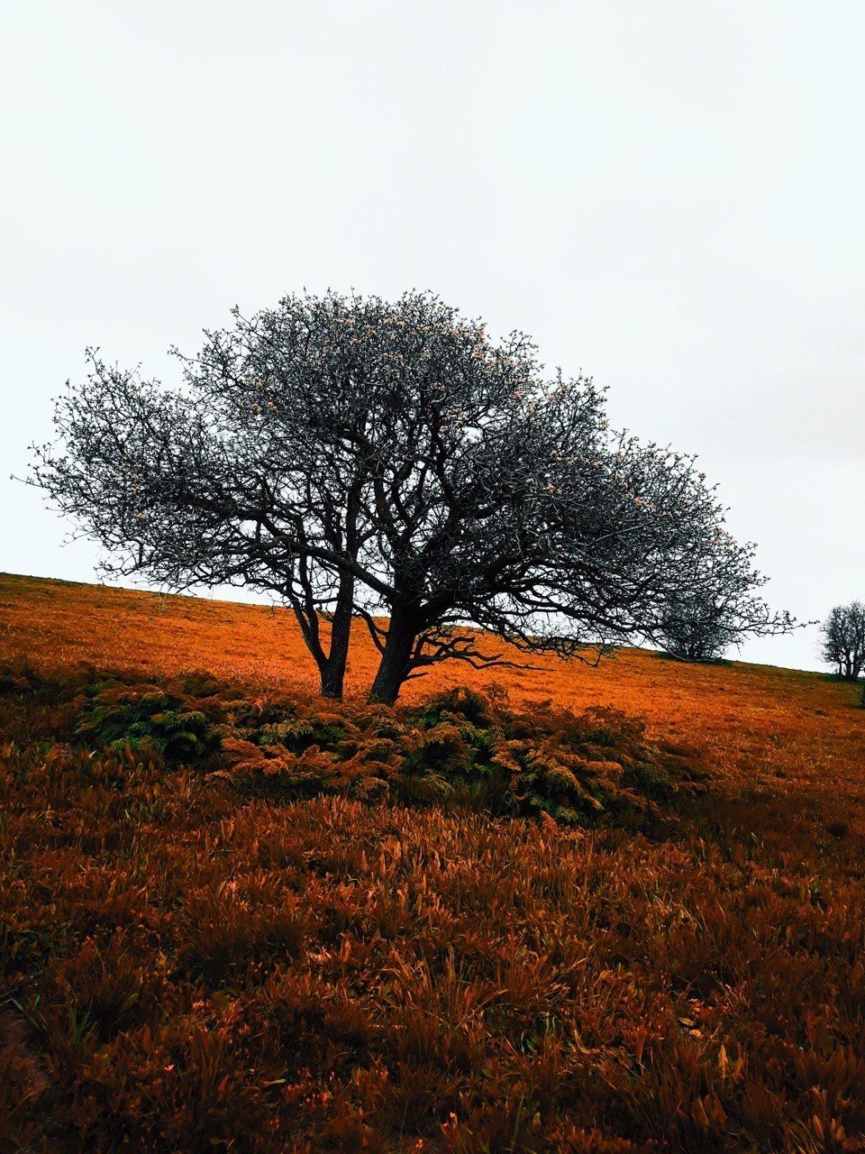 Ağrı’nın manzarası fotoğrafları süsledi