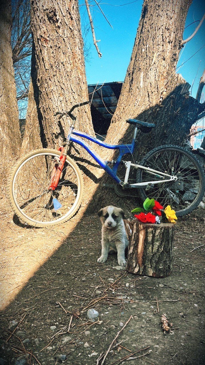 Ağrı’nın manzarası fotoğrafları süsledi