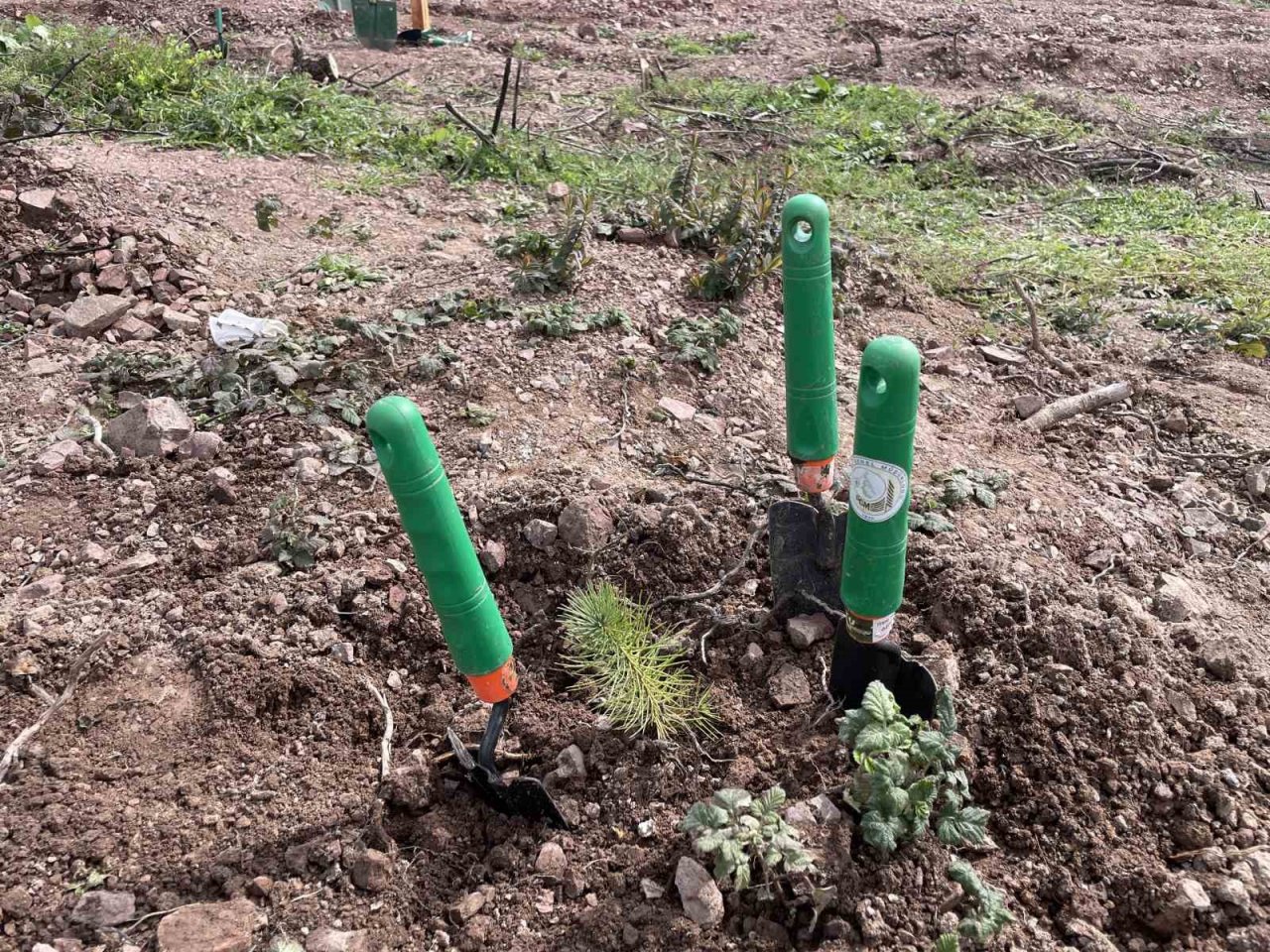 Deprem şehitleri anısına 3 bin 900 fidan toprakla buluştu