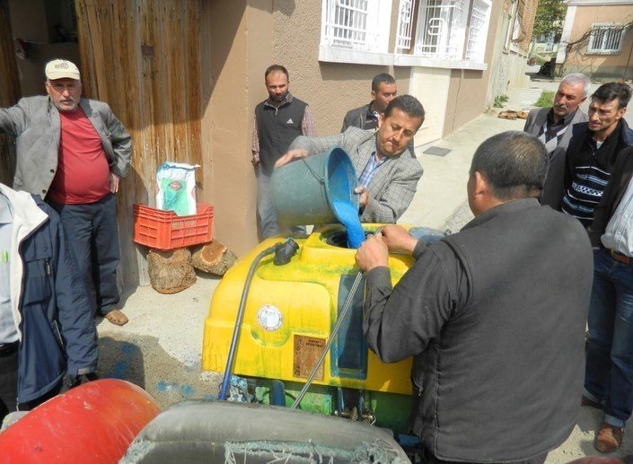 Zeyinliklerde halkalı leke hastalığı ile mücadele devam ediyor