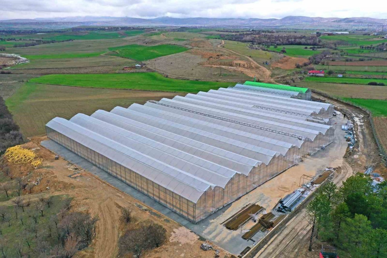 Elazığ’da jeotermal sera sahasının ilk etap çalışmaları tamamlandı
