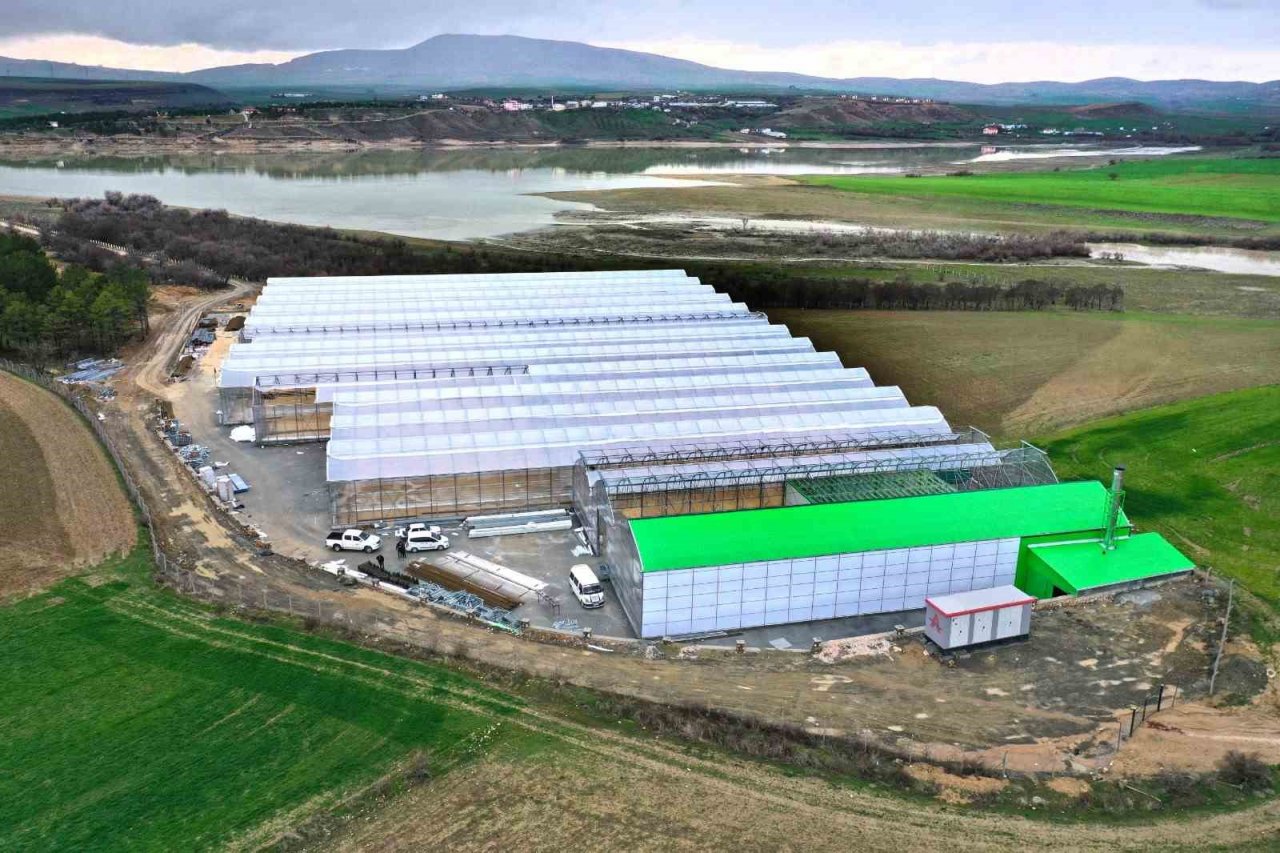 Elazığ’da jeotermal sera sahasının ilk etap çalışmaları tamamlandı