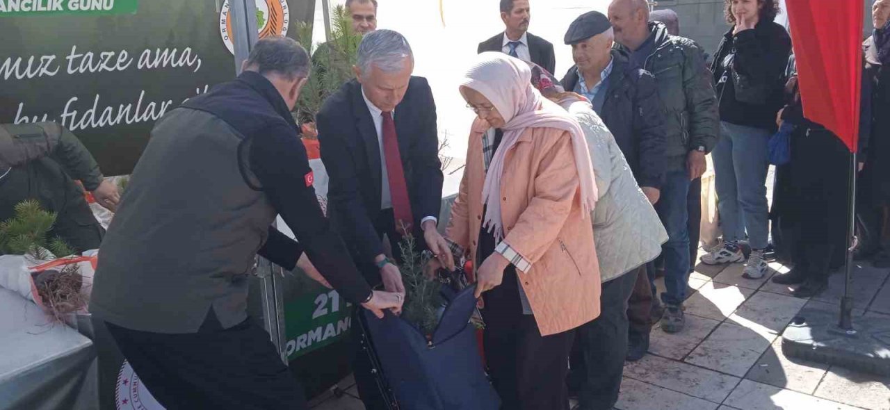 Valilikten vatandaşlara fidan dağıtımı