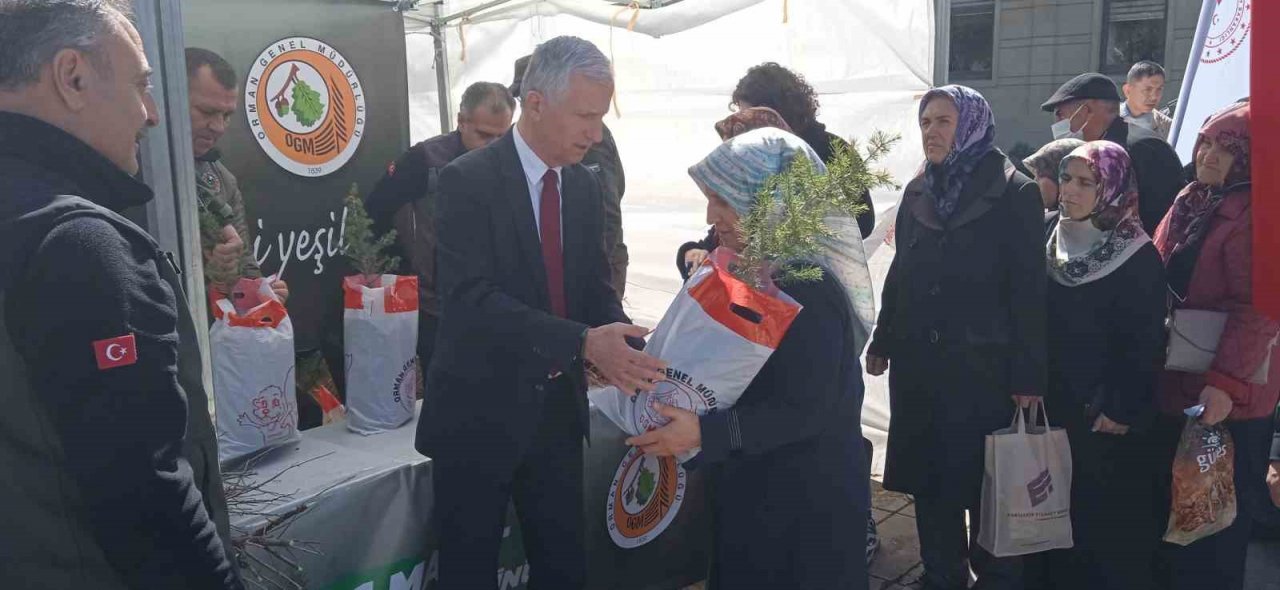 Valilikten vatandaşlara fidan dağıtımı