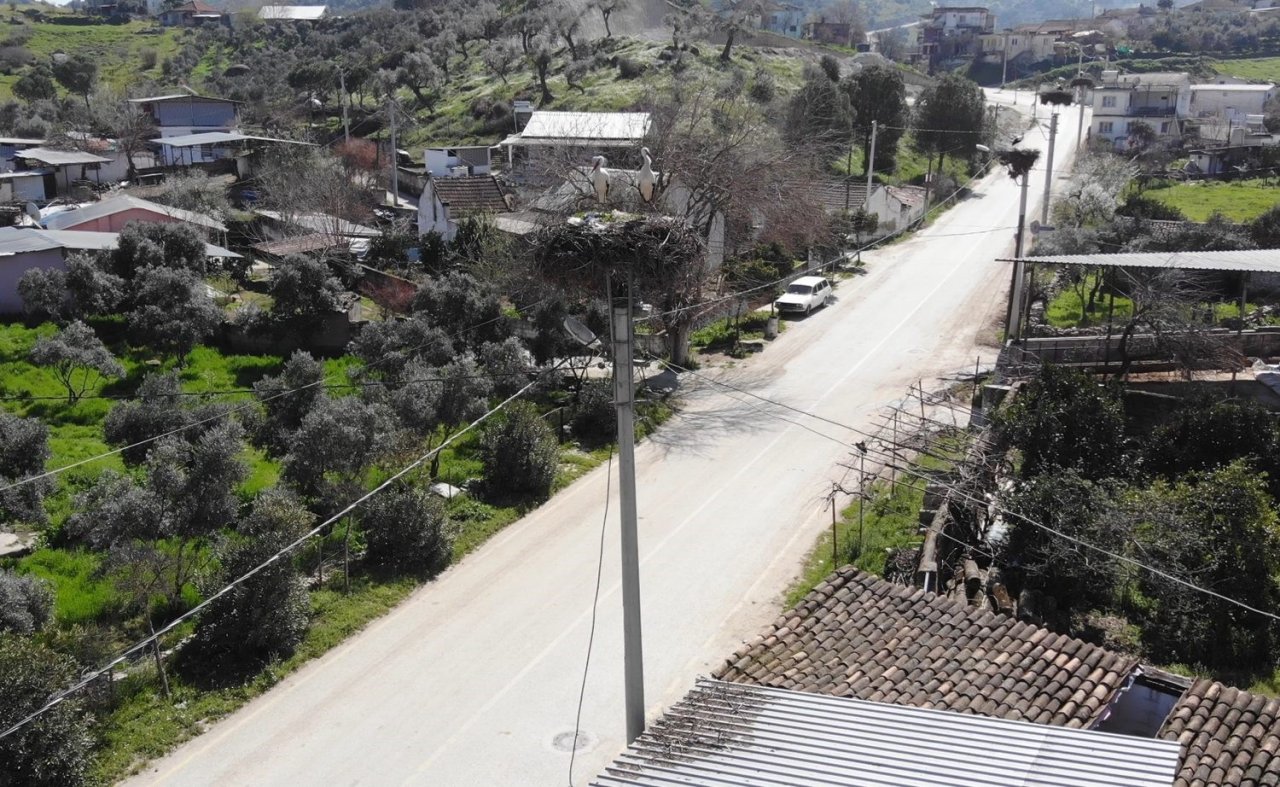 Baharın müjdecisi leylekler Aydın semalarında görsel şölen oluşturuyor