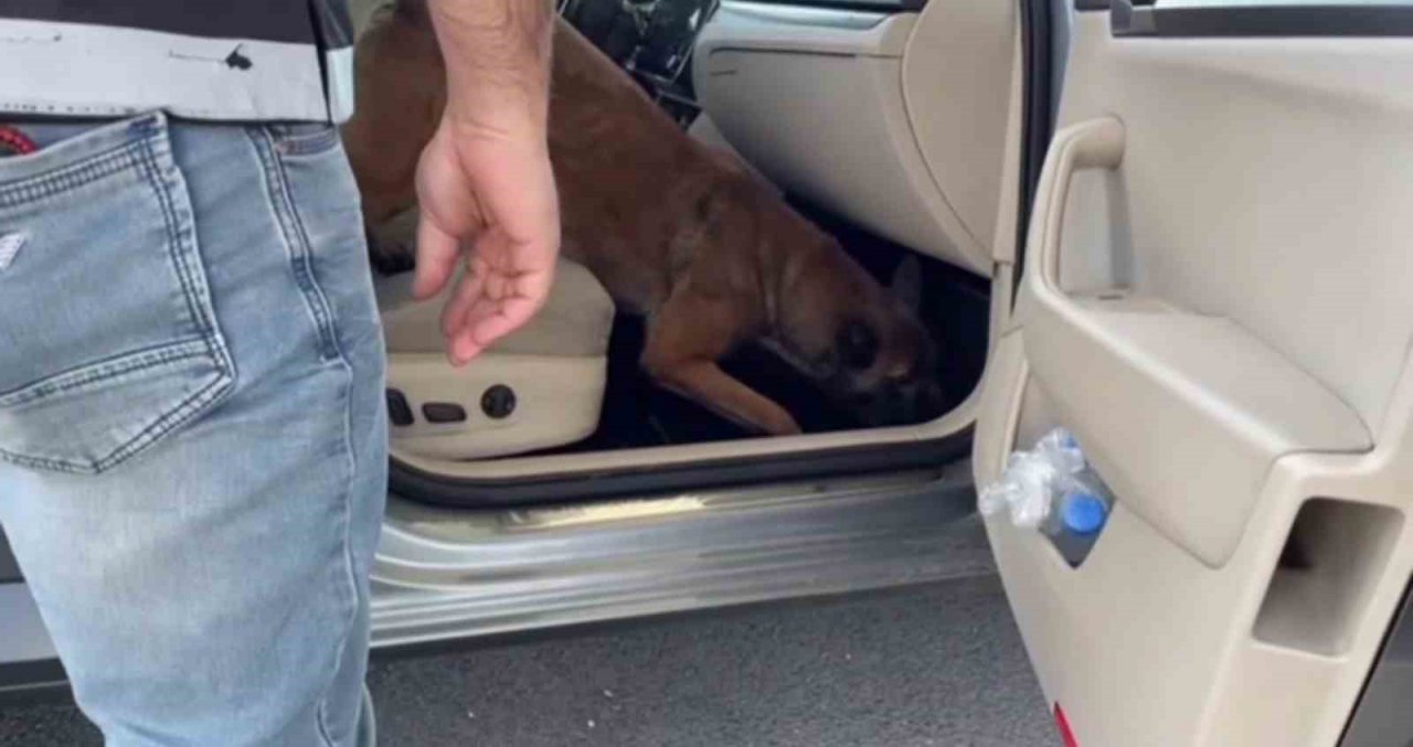 Araç torpidosundan 3 kilonun üzerinde kokain çıktı