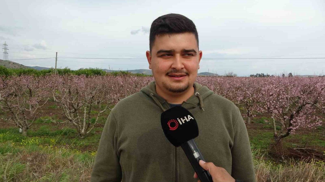 Çukurova’da bahçelerin görsel şöleni