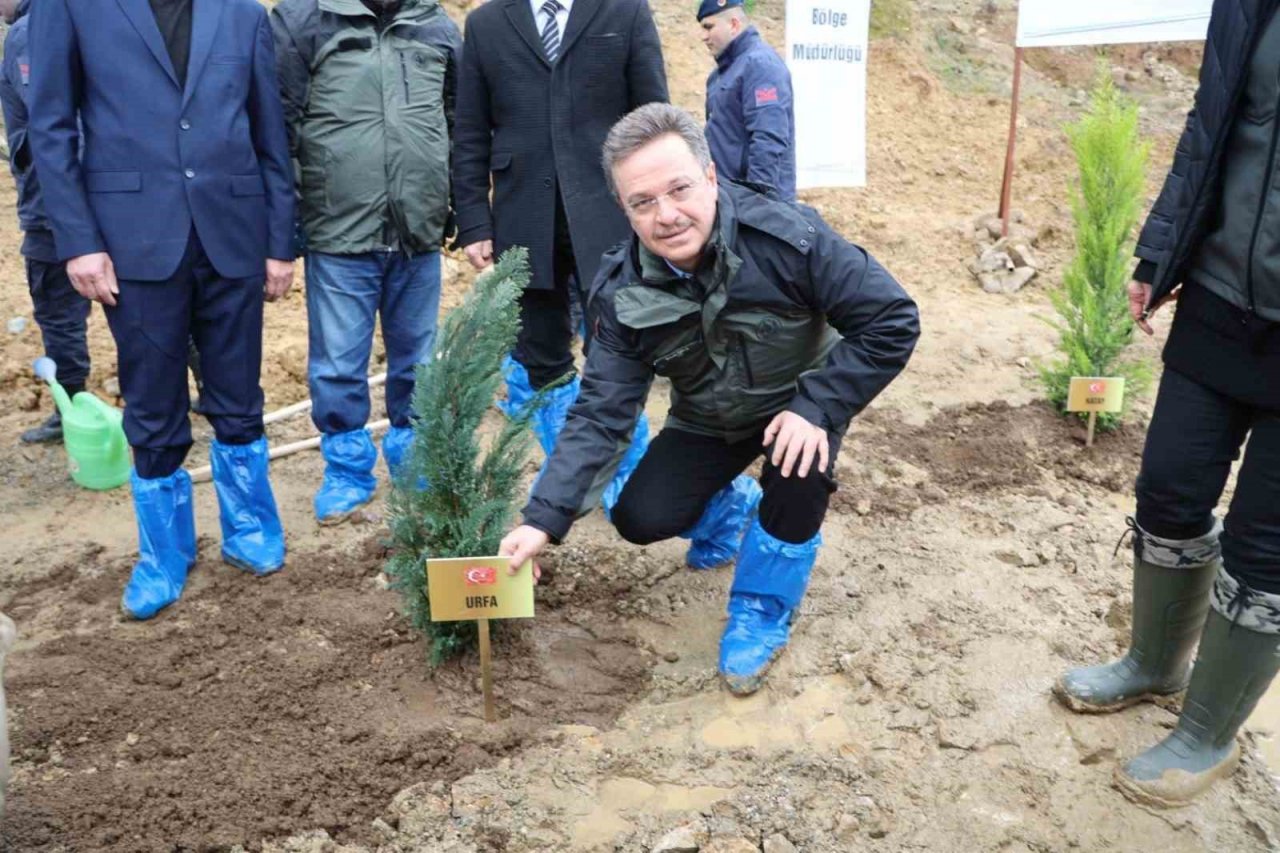 Depremden etkilenen illeri temsilen 2 bin 800 adet fidan toprakla buluştu